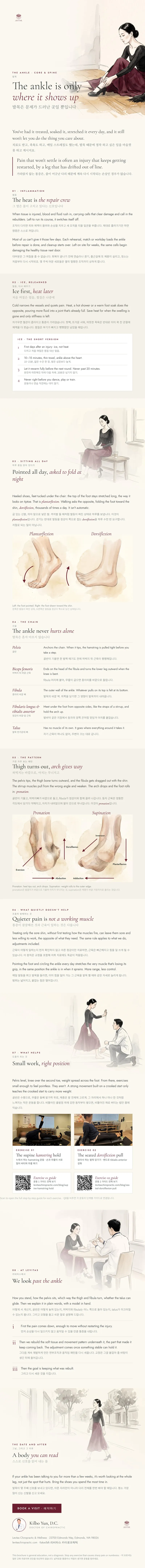 Brochure: The Ankle Is Only Where It Shows Up